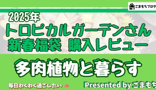 「【2025年多肉福袋】トロピカルガーデン埼玉さんの新春福袋【多肉植物購入レビュー】